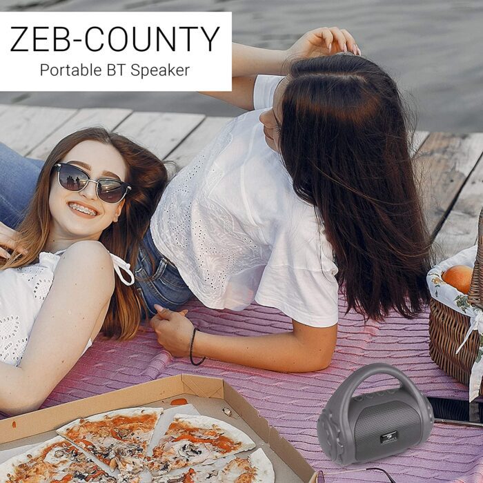 Zebronics Zeb-County Bluetooth Speaker with Built-in FM Radio, Aux Input and Call Function (Grey) - Image 2