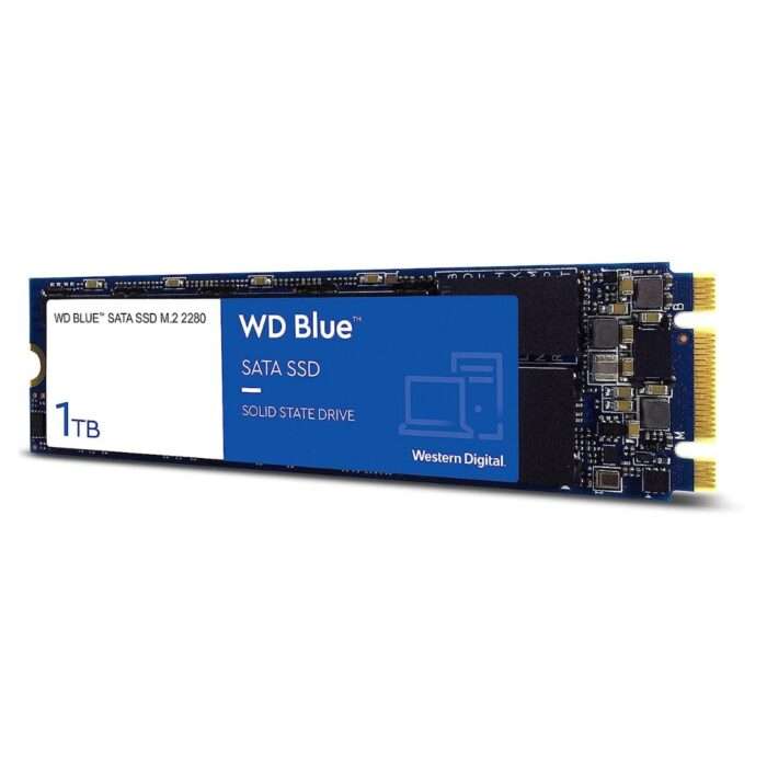 WDS100T2B0B