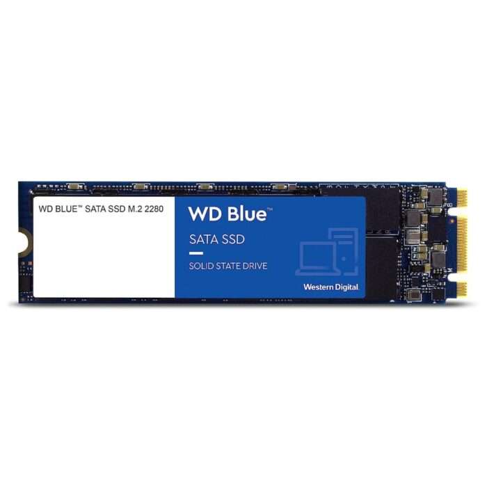 WDS100T2B0B