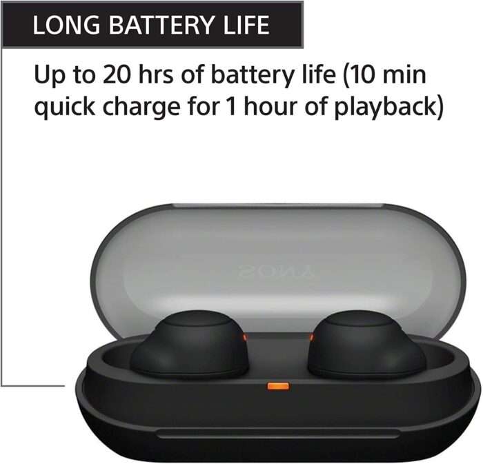 Sony WF-C500 Truly Wireless Bluetooth Earbuds with 20Hrs Battery, True Wireless Earbuds with Mic - Image 5