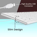 ZEBRONICS Zeb-DLK01 Wired USB Multimedia Keyboard with 104 UV Coated Keys, Rupee Key, 12 Hot Keys(White) - Image 2